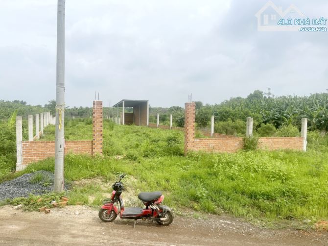 Cần bán 1 Sào cho ai thích làm nhà vườn, xã Sông Thao, huyện Trảng Bom