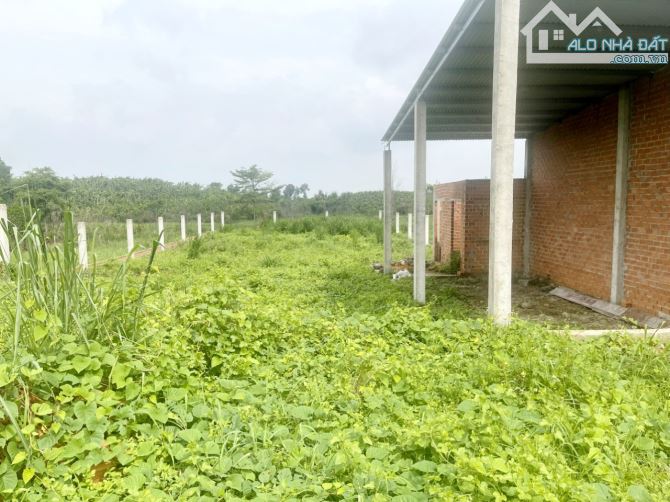 Cần bán 1 Sào cho ai thích làm nhà vườn, xã Sông Thao, huyện Trảng Bom - 1