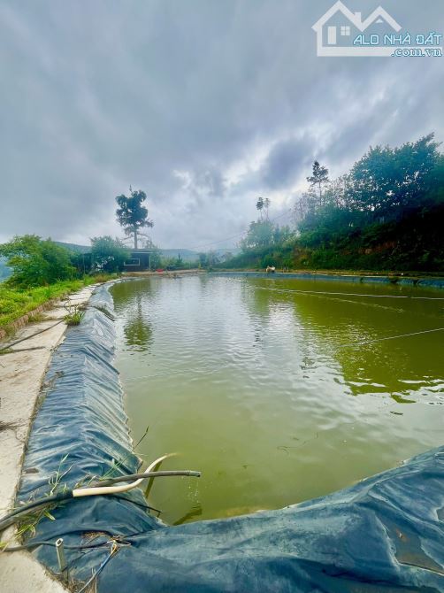CHỦ NGỘP CẦN BÁN 1,5HA VIEW NHƯ TIÊN CẢNH – GẦN CÂY BÔNG GIẤY CỔ THỤ ĐÀ LẠT - 2