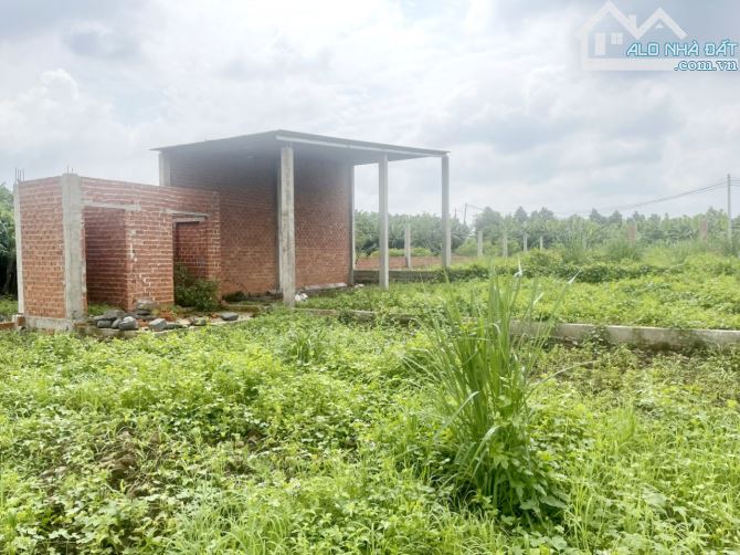 Cần bán 1 Sào cho ai thích làm nhà vườn, xã Sông Thao, huyện Trảng Bom - 2
