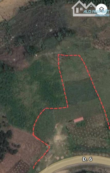 Cần bán mảnh đất vườn tại Vân Hồ Sơn La 15000m2 trong đó có 4700m2 đã có bìa nhỉnh 5 tỷ. - 3