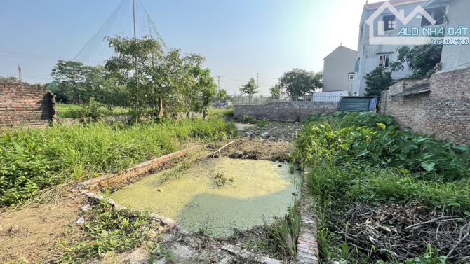 Bán 69.8m2 đất tại Vạn Lộc Xuân Canh gần Vinhomes Cổ Loa Đông Anh - 3