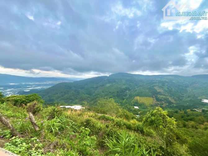 CHỦ NGỘP CẦN BÁN 1,5HA VIEW NHƯ TIÊN CẢNH – GẦN CÂY BÔNG GIẤY CỔ THỤ ĐÀ LẠT - 4