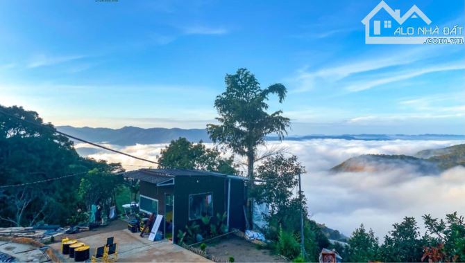 CHỦ NGỘP CẦN BÁN 1,5HA VIEW NHƯ TIÊN CẢNH – GẦN CÂY BÔNG GIẤY CỔ THỤ ĐÀ LẠT - 5