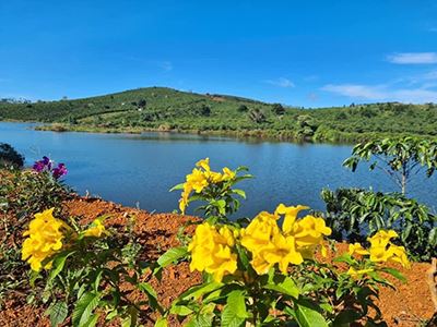 BÁN ĐẤT TRUNG TÂM HUYỆN DI LINH – LÂM ĐỒNG