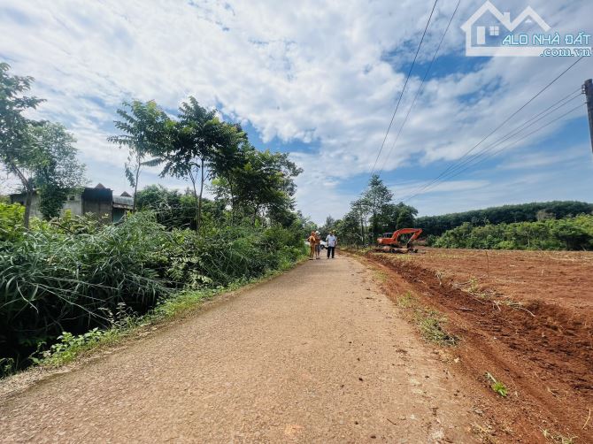 Đất tân hưng đồng phú 1000m2 230 triệu