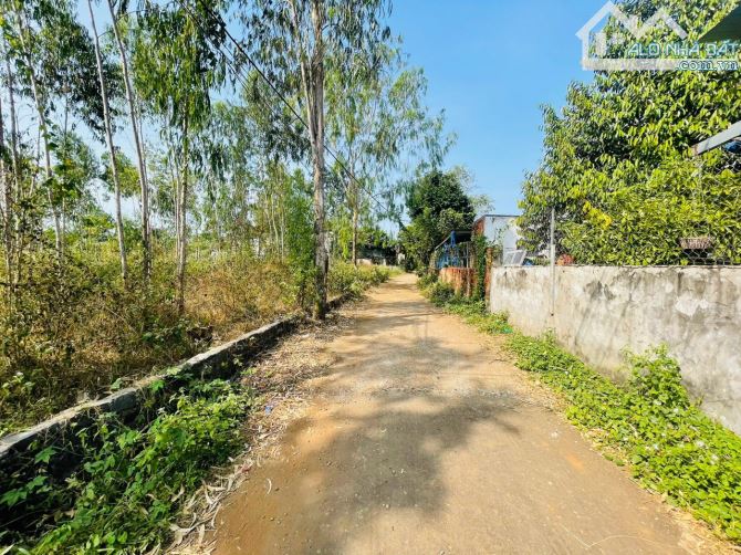Cần bán 2 sào đất phủ hồng mặt tiền đường xe hơi trung tâm Ngãi Giao - 2