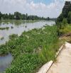 Đất mặt tiền sông Sài Gòn, diện tích 5.153m2, có 300m2 thổ cư thuộc xã Trung An-Củ chi