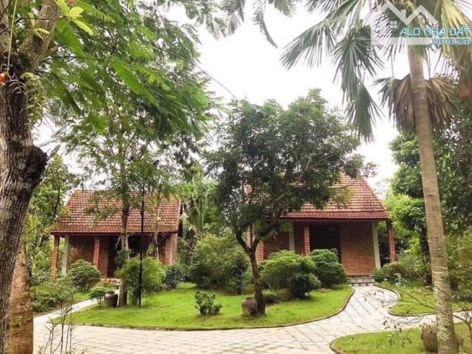 🅾️🅾️🅾️BÁN HOMESTAY GIÁ KHÔNG THỂ RẺ HƠN THUỘC PHƯỜNG THUỶ BIỀU HUẾ