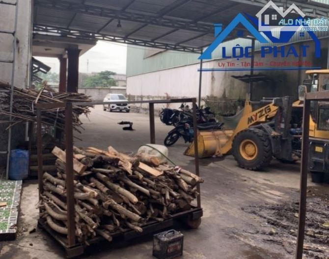 Bán xưởng tại Dầu Tiếng Bình Dương diện tích 11400m2 có dòng tiền 370 triệu/tháng