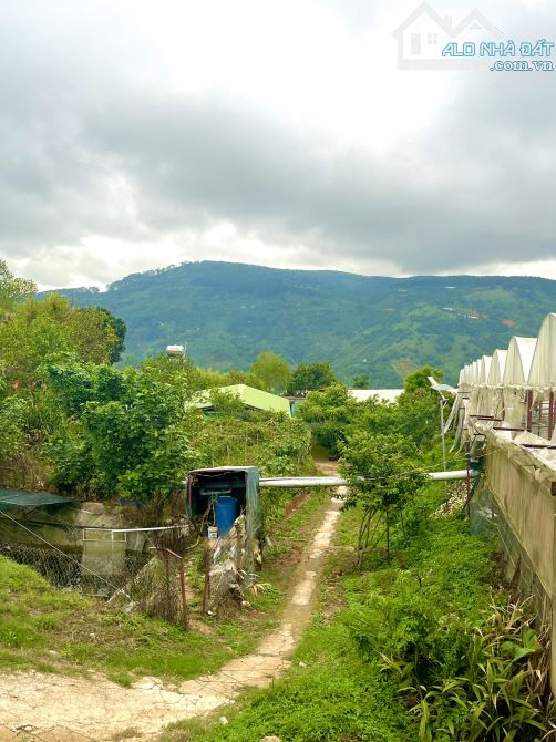 BÁN 1,5HA VIEW NHƯ TIÊN CẢNH – GẦN KDL SĂN MÂY CẦU ĐẤT