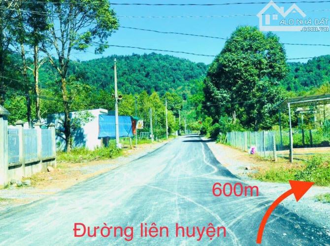 📣 4.981,7 m² VƯỜN SẦU RIÊNG 9 NĂM DAHUOI-LÂM ĐỒNG CHỈ BẰNG GIÁ NGÂN HÀNG - 1