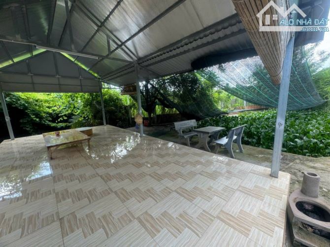 Bán nhà vườn 1500m2 Long Tân 15m mt đường đá mi, có nhà, hồ bơi, chòi ăn uống, 3tỷ TL - 1