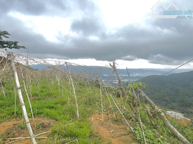 BÁN 1,5HA VIEW NHƯ TIÊN CẢNH – GẦN KDL SĂN MÂY CẦU ĐẤT - 2