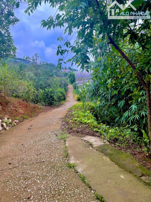 BÁN 1,5HA VIEW NHƯ TIÊN CẢNH – GẦN KDL SĂN MÂY CẦU ĐẤT - 3