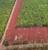 Cần bán lô đất hơn 200m2 tại Phước An, Hớn Quản