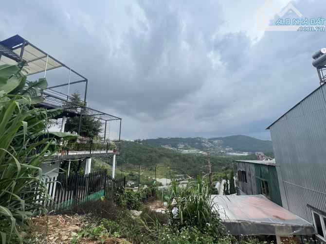 Bán đất view rừng thông đường Hoàng Hoa Thám thành phố Đà Lạt