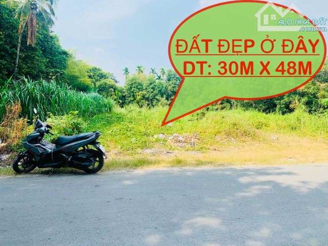 ĐẤT ĐẸP VƯỜN ĐƯỜNG NHỰA AN SƠN 01 GIÁ CHỈ 13TR/M2 SỔ HỒNG RIÊNG. - 1