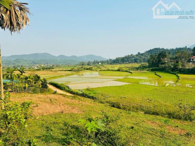 BÁN ĐẤT TÂN LẠC HOÀ BÌNH 4000m2 SIÊU ĐẸP VIEW CÁNH ĐỒNG - 1