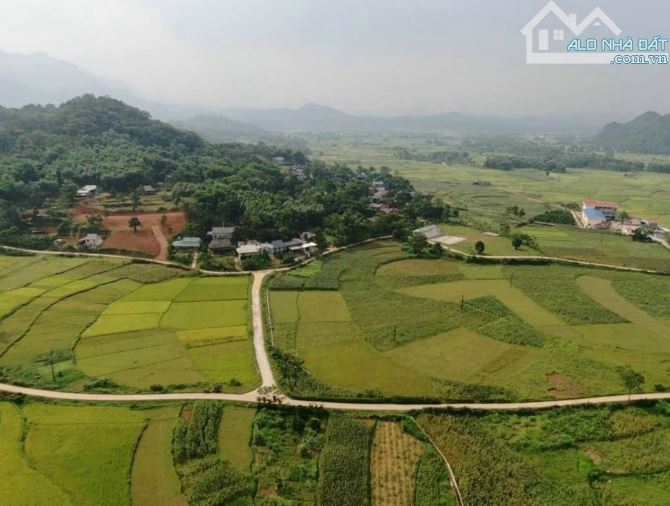 BÁN ĐẤT TÂN LẠC HOÀ BÌNH 4000m2 SIÊU ĐẸP VIEW CÁNH ĐỒNG - 2