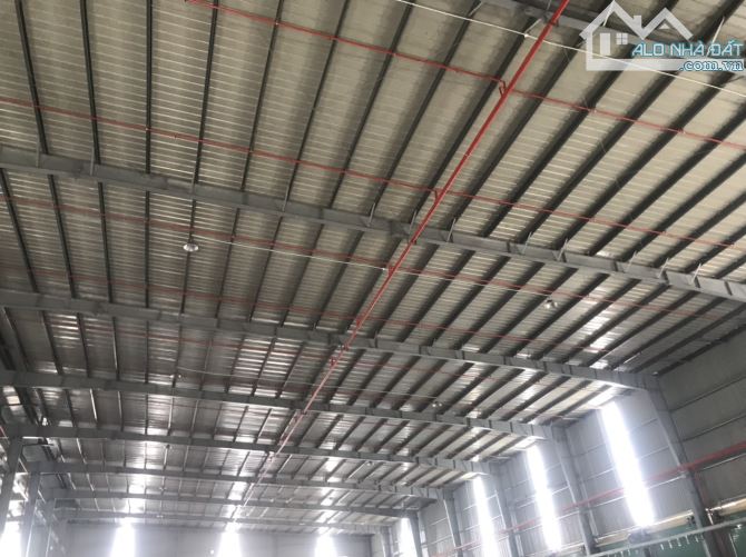 CHO THUÊ KHO XƯỞNG 12500m2 KHU CÔNG NGHIÊP PHÚ AN THANH - 3