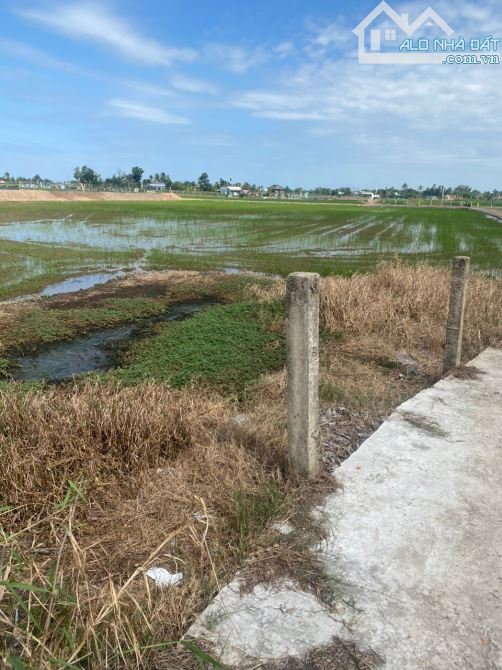 5189m2 lúa đường Nguyễn văn tiết lạc tấn_tân trụ_Long an 450trieu/1000 - 3