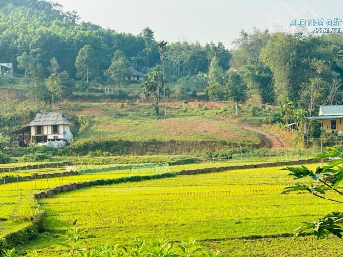 BÁN ĐẤT TÂN LẠC HOÀ BÌNH 4000m2 SIÊU ĐẸP VIEW CÁNH ĐỒNG - 3