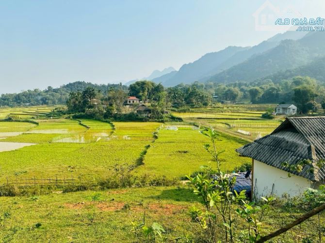 BÁN ĐẤT TÂN LẠC HOÀ BÌNH 4000m2 SIÊU ĐẸP VIEW CÁNH ĐỒNG - 4