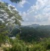 Bán lô đất view rừng thông xanh mặt tiền đường Khe Sanh thành phố Đà Lạt