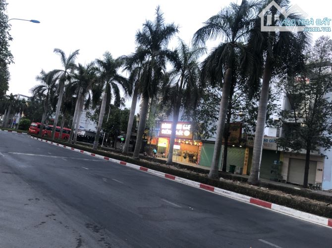 Gia đình cần bán đất biệt thự 200m2 sổ hồng riêng MT đường nhựa 22m đối diện công viên - 1