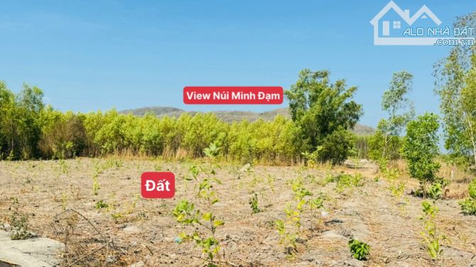 1045m2 (20x53-160tc) đg nhựa Tam Phước-Long Điền. cách biển 8km - 4