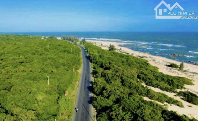 BÁN 1HA BIỂN HỒ TRÀM, PHỦ HỒNG TOÀN BỘ,  SAU LƯNG SÂN GOLF THE BLUFFS, CÁCH PHỐ ĐI BỘ 500M - 4