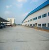 Cho thuê nhà xưởng mới xây dựng tại Tân Phước, Tiền Giang
