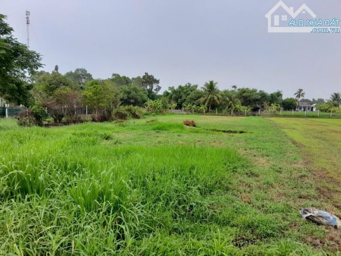 Cần bán đất mặt tiền đường Hương lộ 13 thuộc xã lương Hòa huyện Châu Thành TP Trà Vinh