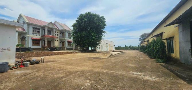 BÁN LÔ ĐẤT 11.000M2 LONG KHÁNH