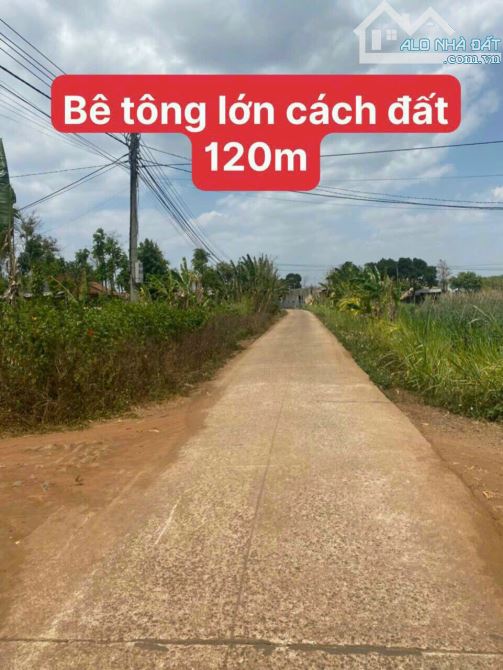 Do gia đinh kinh doanh buôn bán thua lỗ bán gấp lô đất xuân phú - EA KAR-ĐẮK LẮK - 189tr - 2