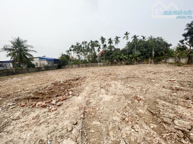 Chính chủ bán thu hồi vốn lô đất đô thị 1.239m2 ful đất ở tại Quận Dương Kinh-Hải Phòng - 1