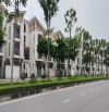 Chính chủ cần bán gấp Biệt thự song lập 175m2  khu đô thị Dương Nội giá 29 tỷ.