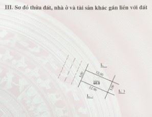 Bán Đất Đấu Giá Mậu Lương-Hà Đông phân lô vỉa hè 5x12=60m2 kinh doanh chỉ 9.999 tỷ. - 3