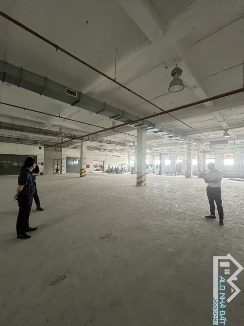 Cho thuê 3000m2 mặt phố, kinh doanh thuận tiện