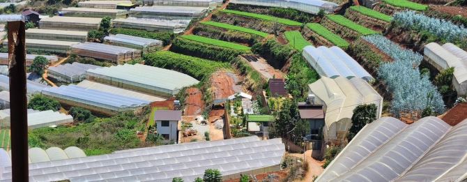 Cần bán chiếc farm nhỏ tại xã Xuân Thọ, tp Đà Lạt. 1843m² - 9ty5 - 8