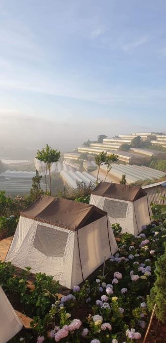 Cần bán chiếc farm nhỏ tại xã Xuân Thọ, tp Đà Lạt. 1843m² - 9ty5 - 10