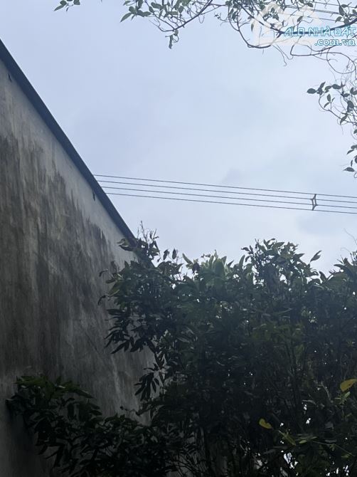 ⚠️ Nhà Cấp 4 Cũ  1 tỷ 1 Căn nhà rẻ hơn Miếng đất,DT 6x22 - 2