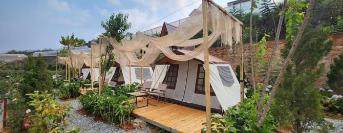 Cần bán chiếc farm nhỏ tại xã Xuân Thọ, tp Đà Lạt. 1843m² - 9ty5 - 19