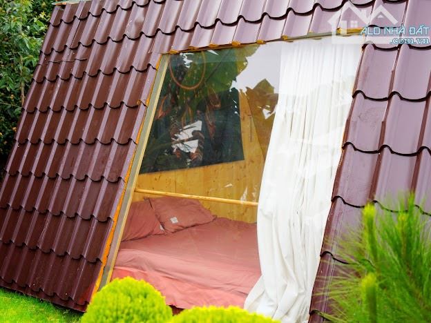 Cần bán chiếc farm nhỏ tại xã Xuân Thọ, tp Đà Lạt. 1843m² - 9ty5 - 21