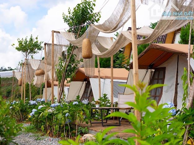 Cần bán chiếc farm nhỏ tại xã Xuân Thọ, tp Đà Lạt. 1843m² - 9ty5 - 23