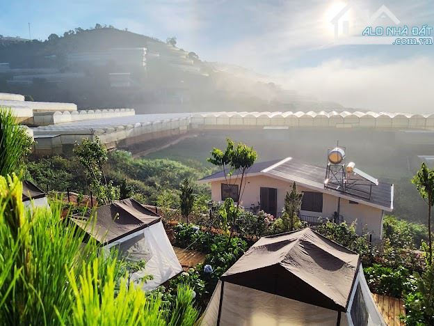 Cần bán chiếc farm nhỏ tại xã Xuân Thọ, tp Đà Lạt. 1843m² - 9ty5 - 24