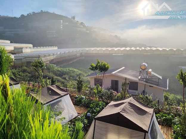 Cần bán chiếc farm nhỏ tại xã Xuân Thọ, tp Đà Lạt. 1843m² - 9ty5 - 25