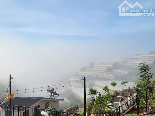 Cần bán chiếc farm nhỏ tại xã Xuân Thọ, tp Đà Lạt. 1843m² - 9ty5 - 27