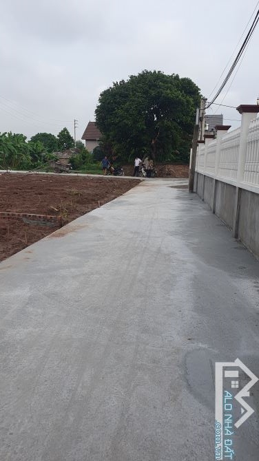 Bán đất cạnh cầu Kênh Vàng nối Bắc Ninh đi Hải Dương, Hải Phòng - 3